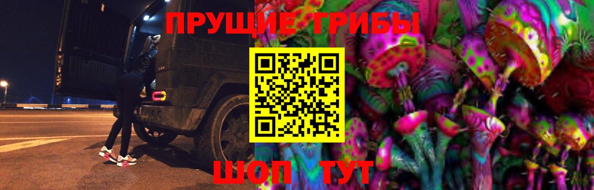 Галлюциногенные грибы Cubensis  Вход с VPN  Псилоцибиновые грибы Cubensis  Благовещенск 